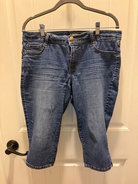 d. jeans Women's Petite Midwash Blue Cropped Ankle Jeans (12P)